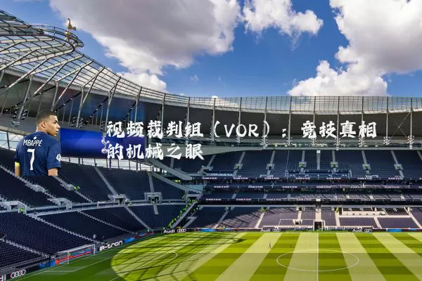 视频裁判组（VOR）：竞技真相的机械之眼
