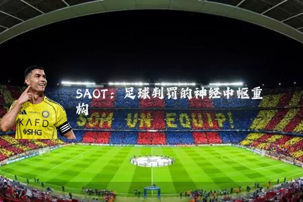 SAOT:足球判罚的神经中枢重构